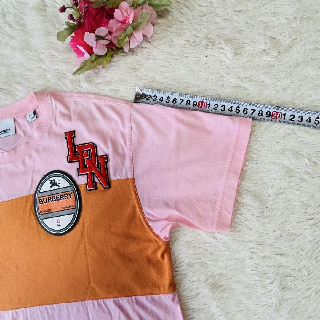 Burberry Tシャツ ホースロゴ　TB ワッペン刺繍ボーダーサイズXS相当