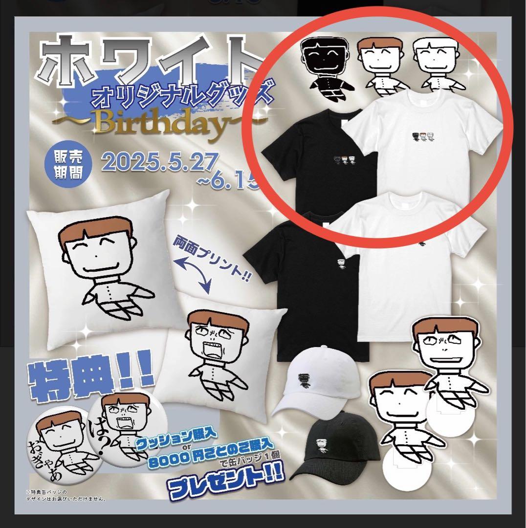 ホワイト　刺繍Tシャツ2枚セット