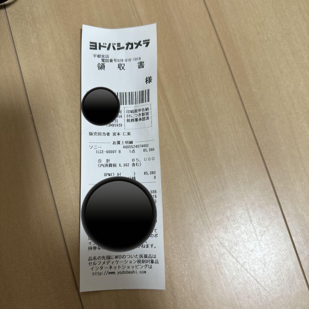 a6000 ソニー　ミラーレス一眼　ダブルレンズキット