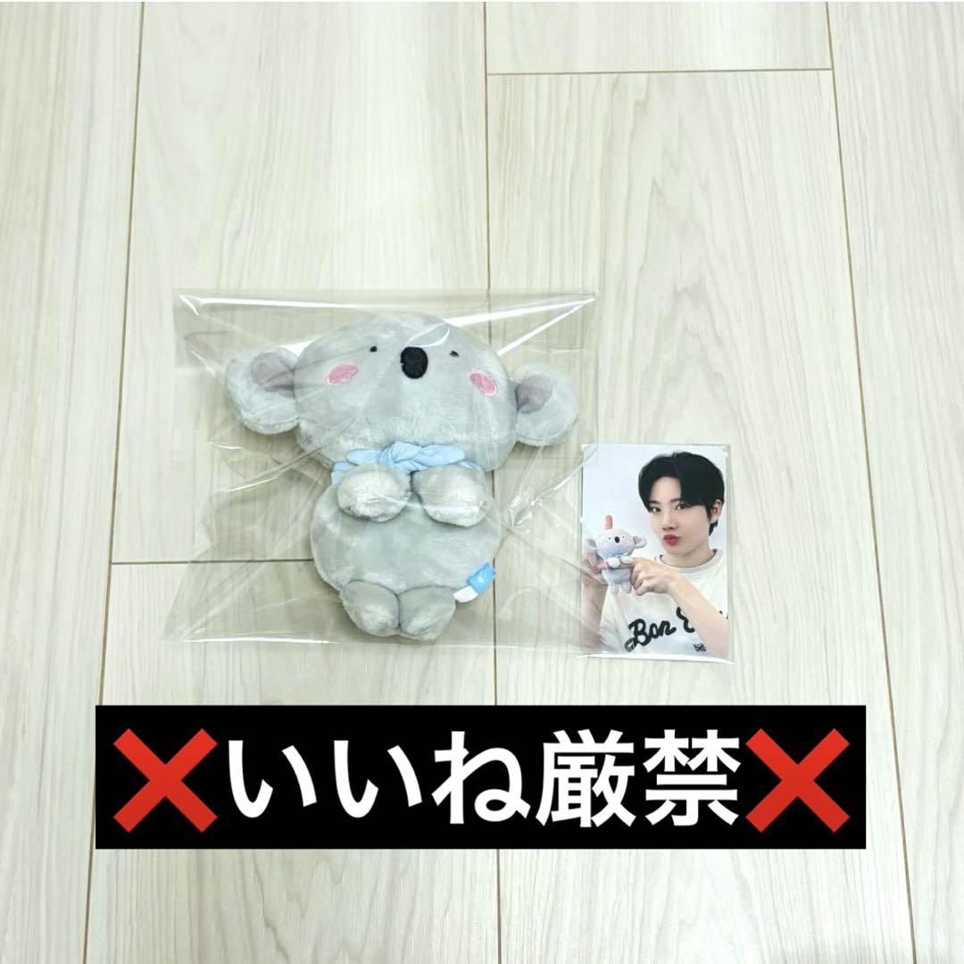 treasure ジュンギュ ぬいぐるみ トレカ 公式 ダヨ ドール 新品 匿名 41QaOEAes+L.jpg_BO30,255,255,