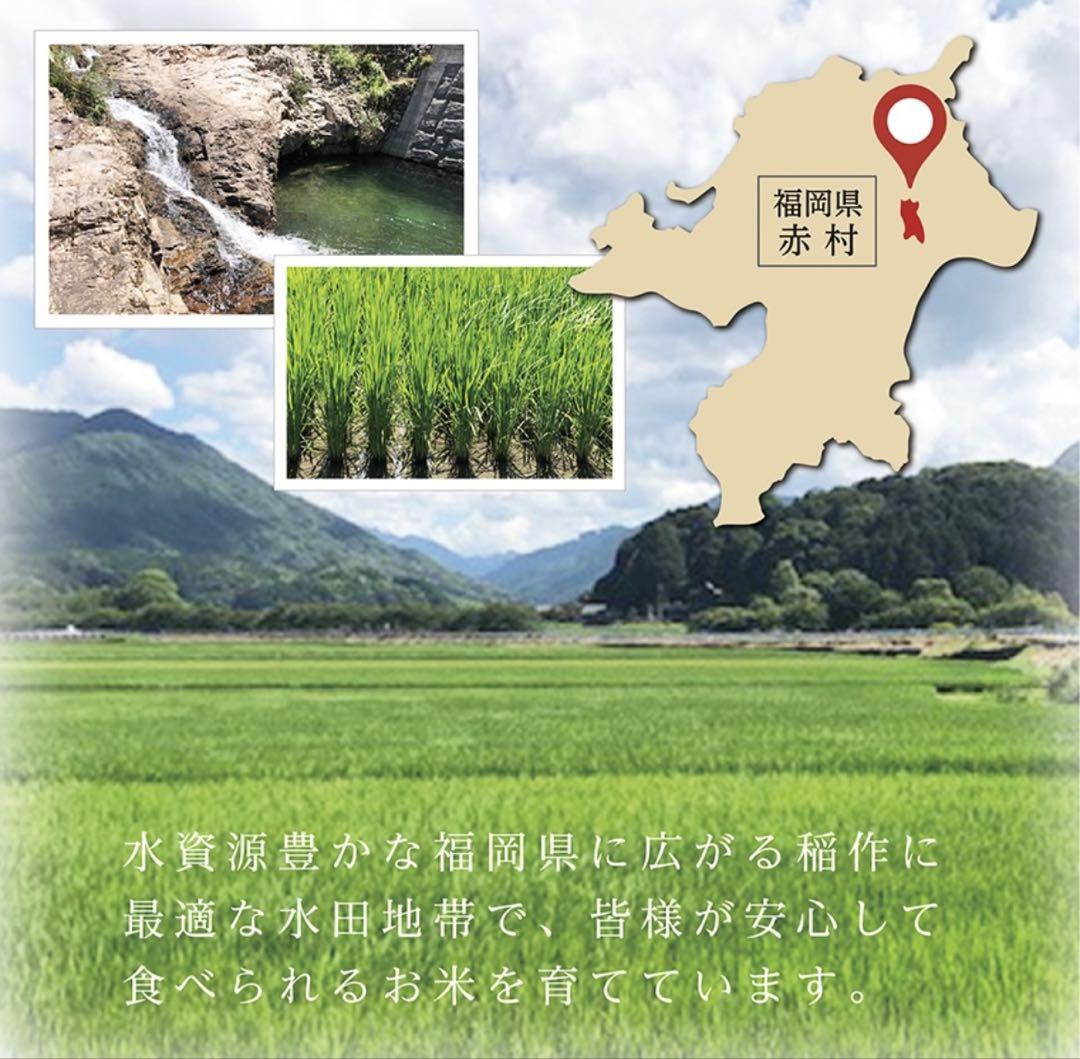 米10kg ふくきらり