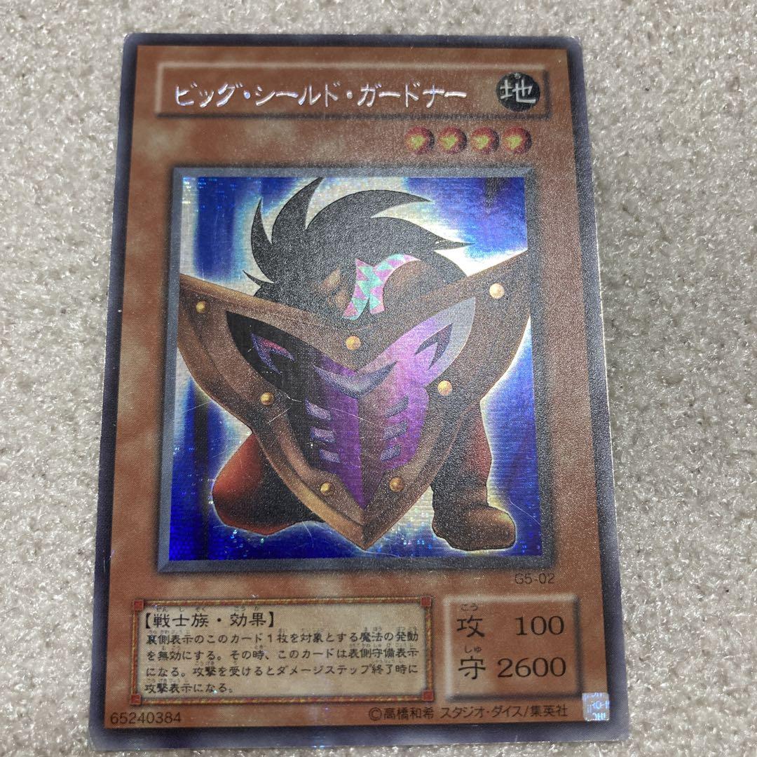 鑑定品 psa10 】 極美品 世界109枚 貫通シク ビッグシールド