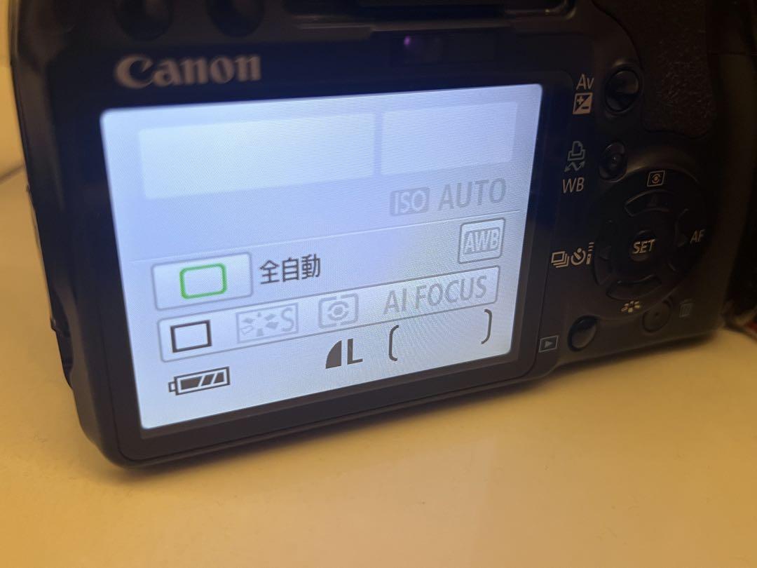 Canon EOS Kiss X2 望遠ズーム 250mm レンズ 一眼レフ