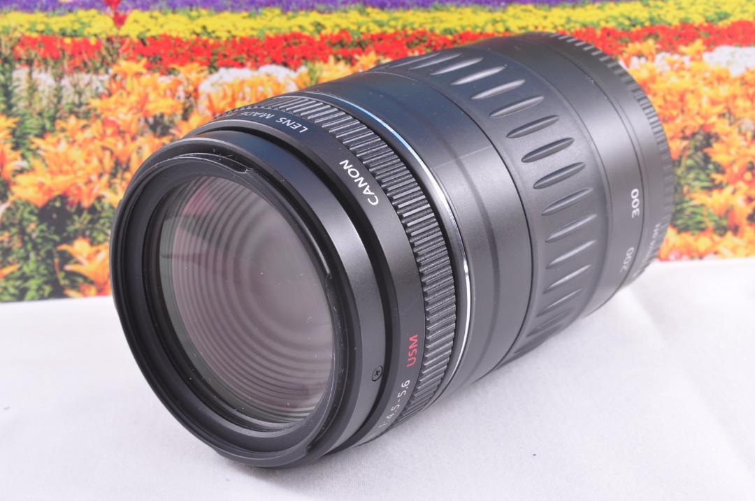 ♥望遠を始めませんか！Canon EF 90-300mm USM 望遠レンズ#7