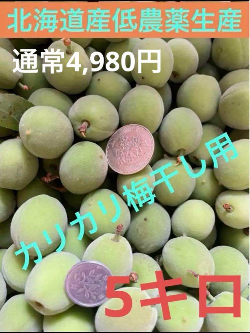 函館近郊産青梅10キロサイズL❣️