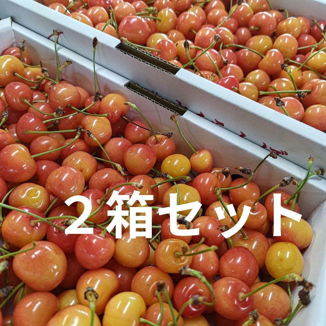 ２箱セット　7月5日　加工用　紅秀峰　山形県産　さくらんぼ　１kg