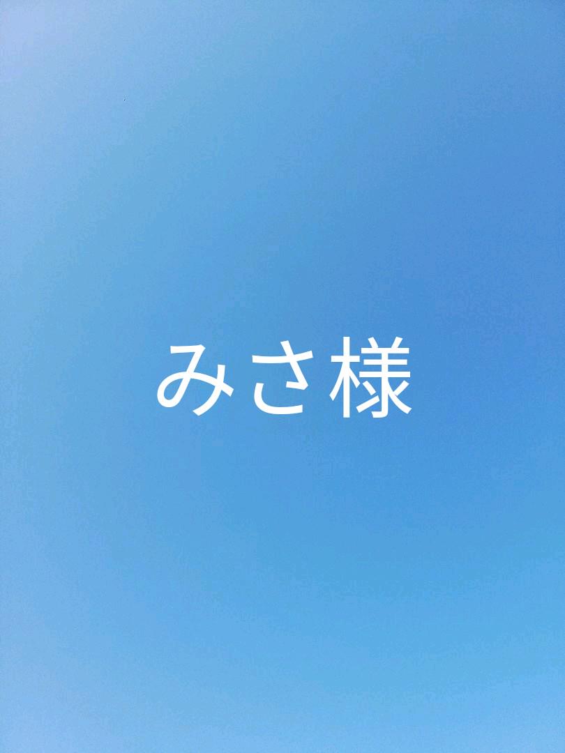 みさ様　F