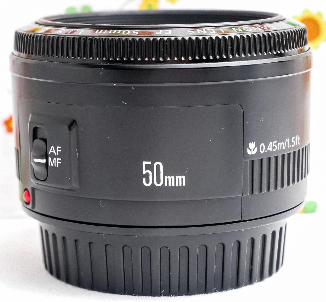 キャノン Canon EF 50mm F1.8 Ⅱ☆単焦点レンズ☆神レンズ | www