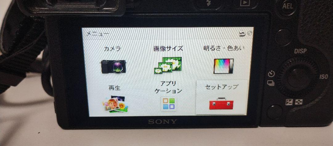 SONY NEX-6