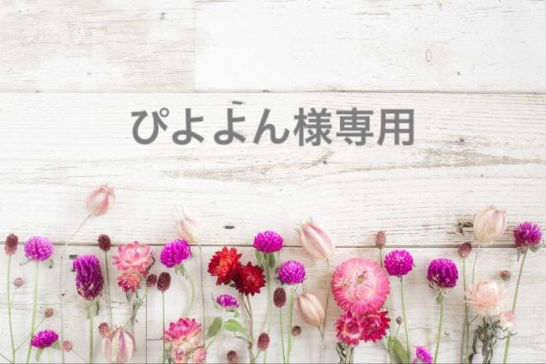 ぴよよん様専用