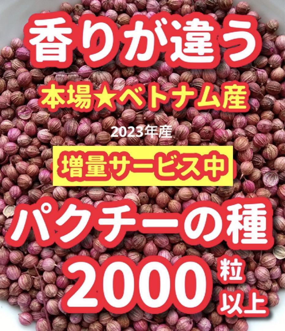 注目の福袋! パクチー様専用 わんぱくパクチー様専用 - www.massongex.ch
