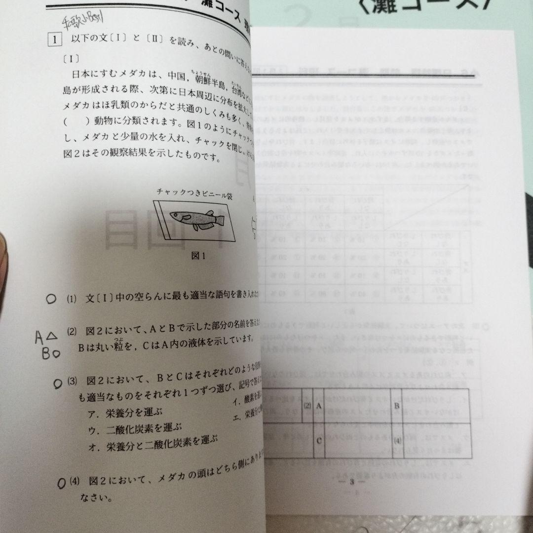 浜学園　日曜特訓　前期　灘コース2024年　最新版 日曜特訓 前期 灘コース 理科 灘 灘中 浜学園 浜 希 開成 洛南
