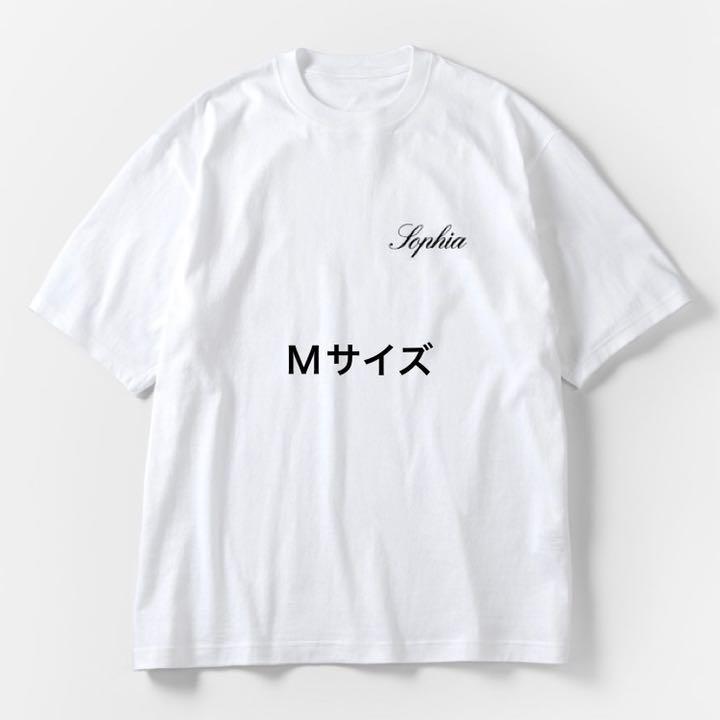 定番の中古商品 Tシャツ/カットソー(半袖/袖なし) トップス