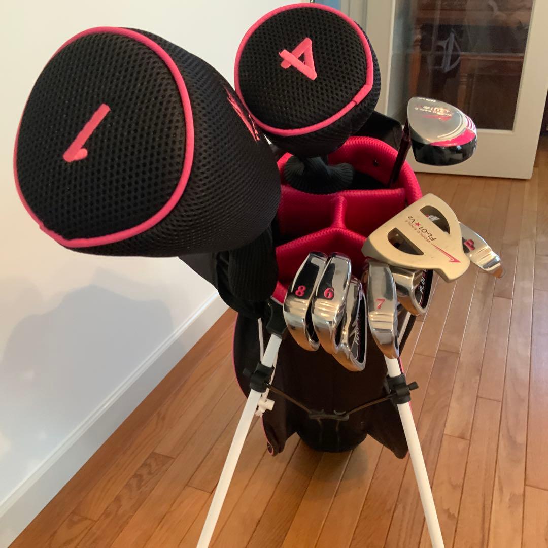 ワールドイーグル　FL-01 レディースゴルフクラブ　10本セット