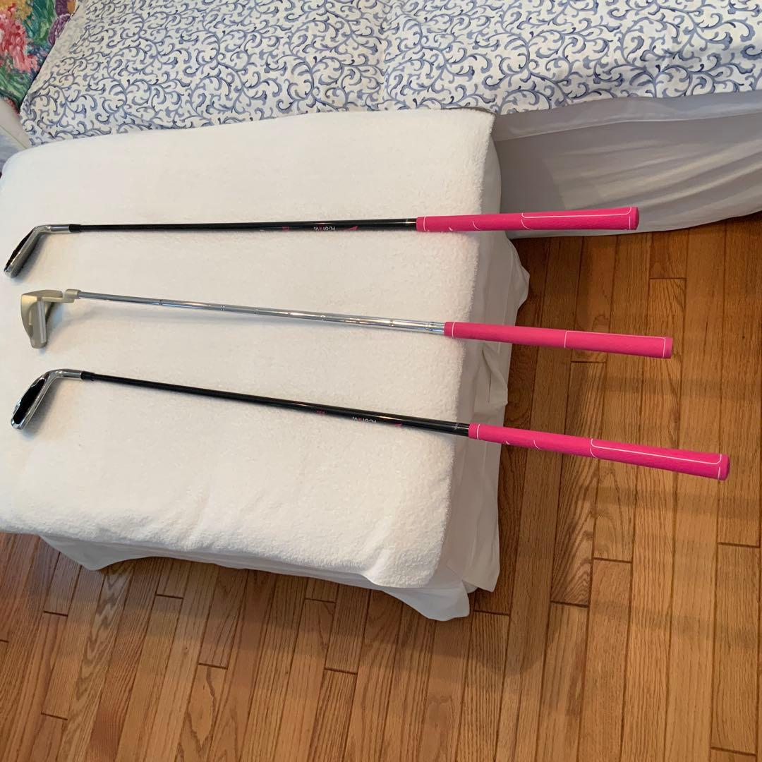 ワールドイーグル　FL-01 レディースゴルフクラブ　10本セット