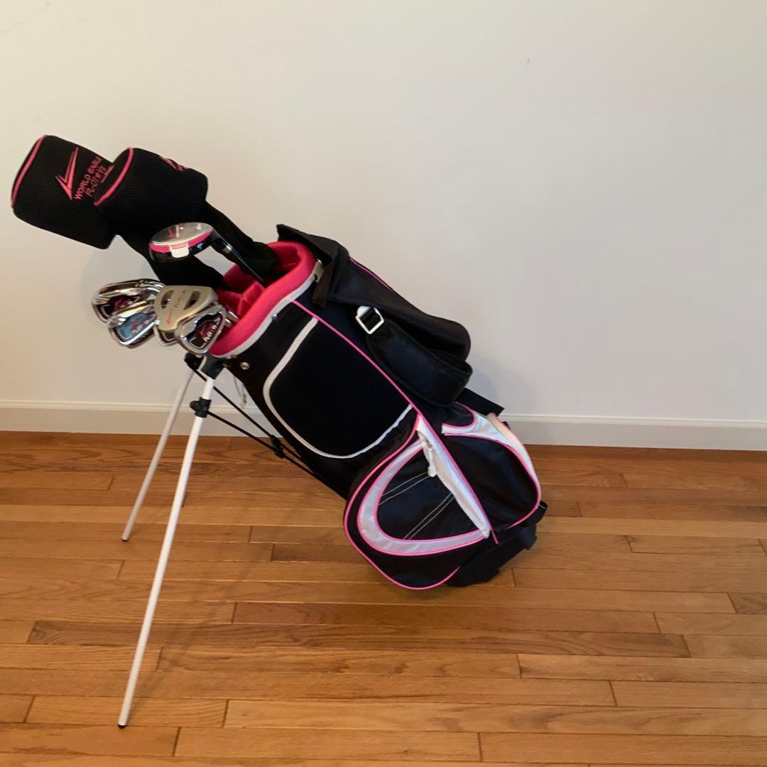 ワールドイーグル　FL-01 レディースゴルフクラブ　10本セット