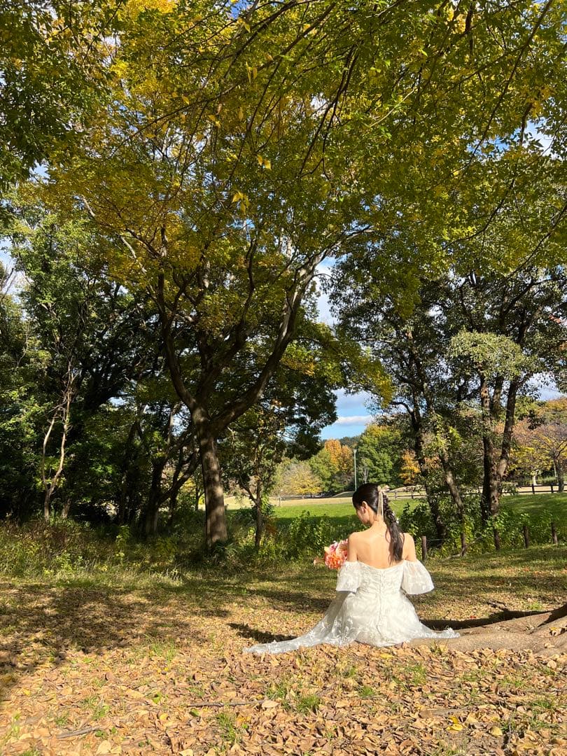 ドレスプロダクション【W272】フラワーレースパフスリーブドレス ドレスプロダクション【W272】フラワーレースパフスリーブドレス