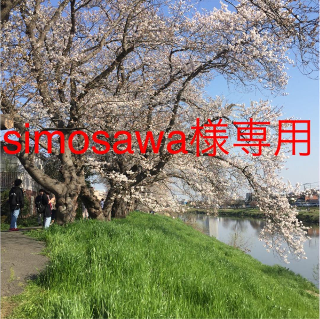 simosawa様専用 simosawa様専用