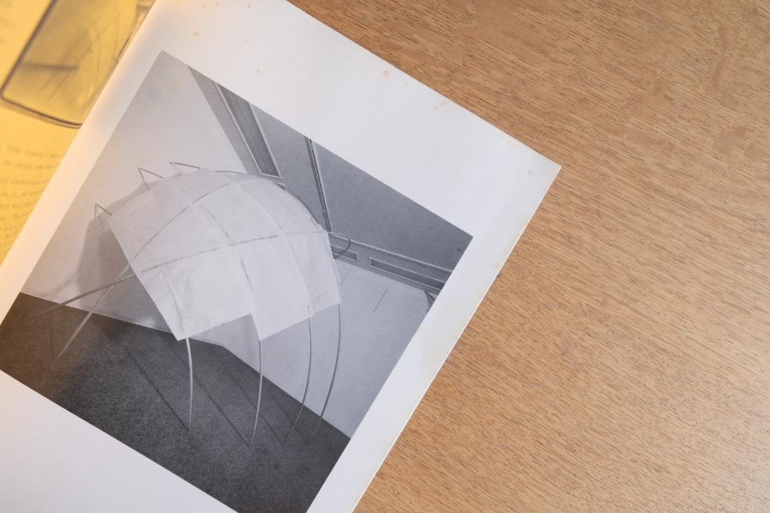 が大特価！ 希少】TOYOMI HOSHINA 1980-1981 保科豊巳 美術展覧会図録 アート・デザイン・音楽