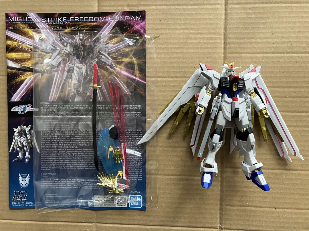 ガンプラ HG ブルーディスティニー2号機 EXAM 他7個セット