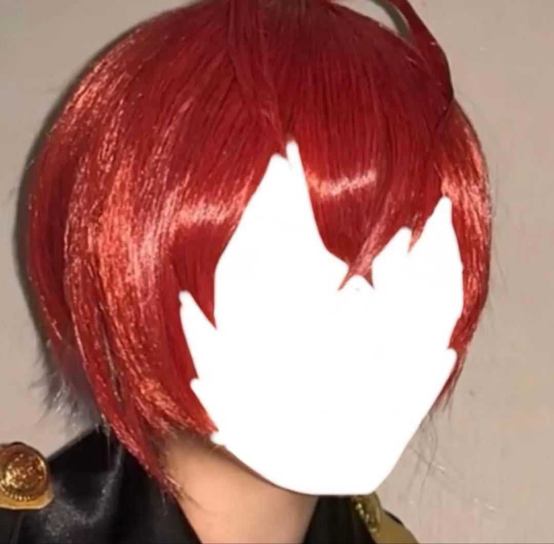 ツイステ リドル ウィッグ - メルカリ