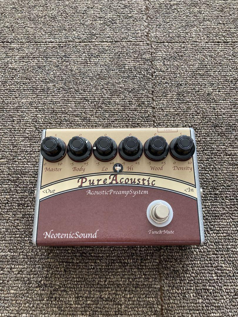 ギター Neotenic Sound PureAcoustic