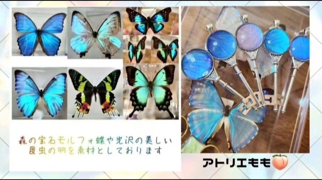 【専用ご検討品】モルフォ蝶のアクセサリー2点セット