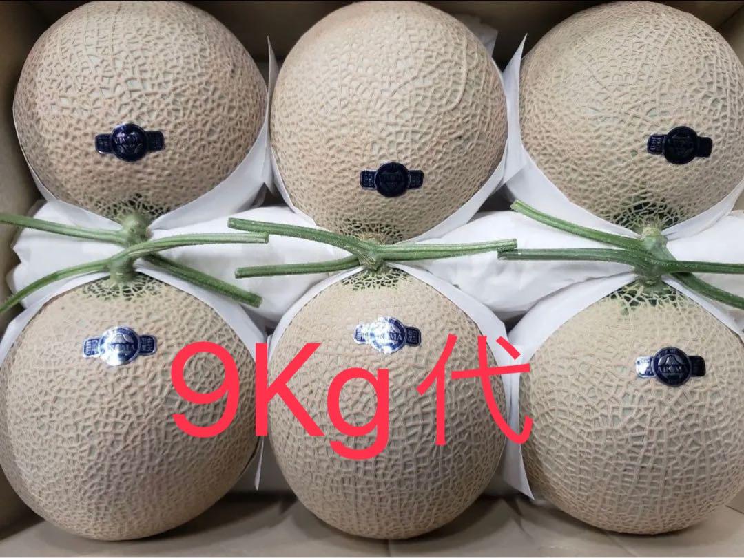 9Kg代　静岡　アールスメロン