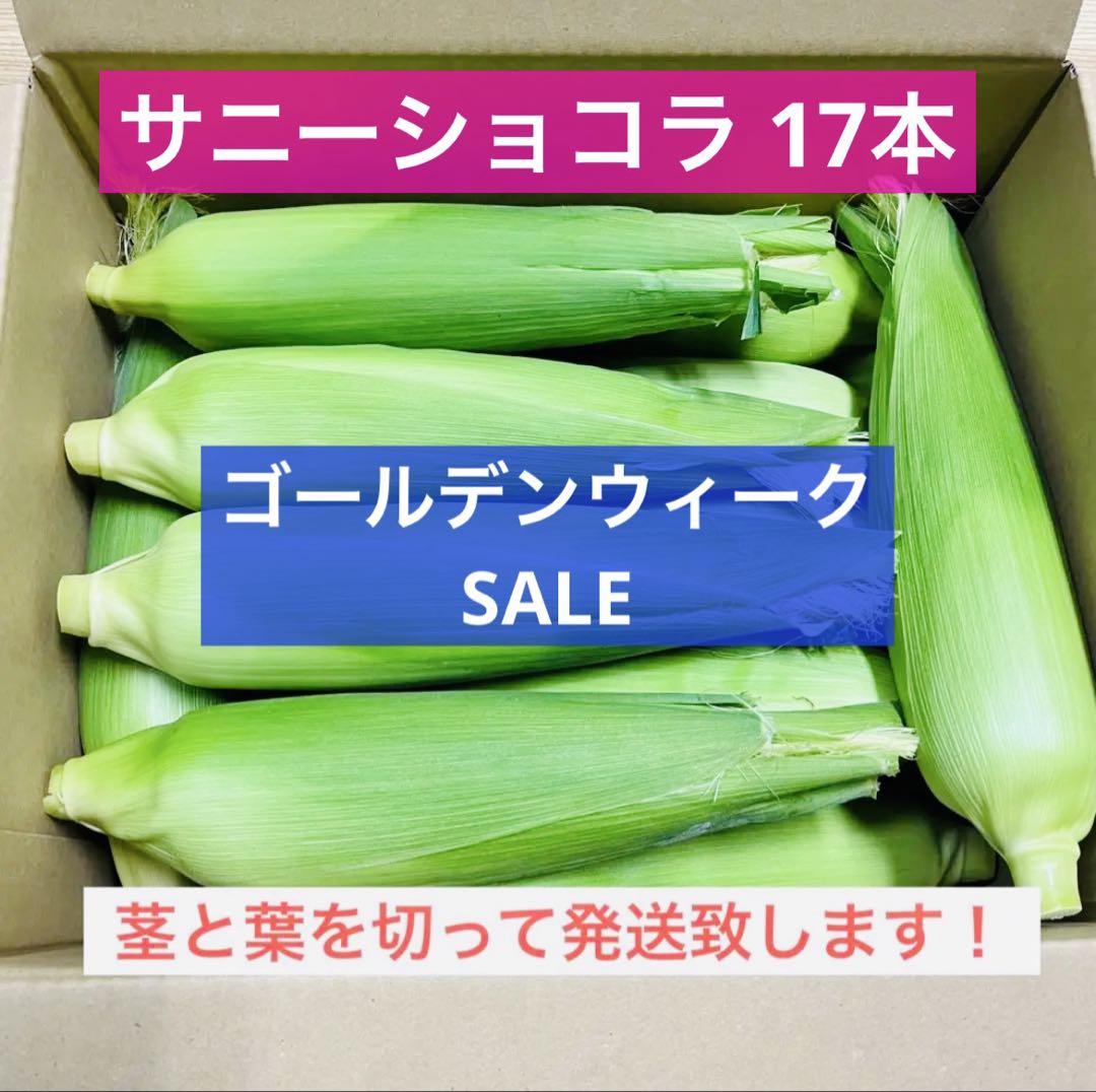GW限定！家族の笑顔を運ぶ、沖縄産とうもろこし！サニーショコラ 17本入りセール