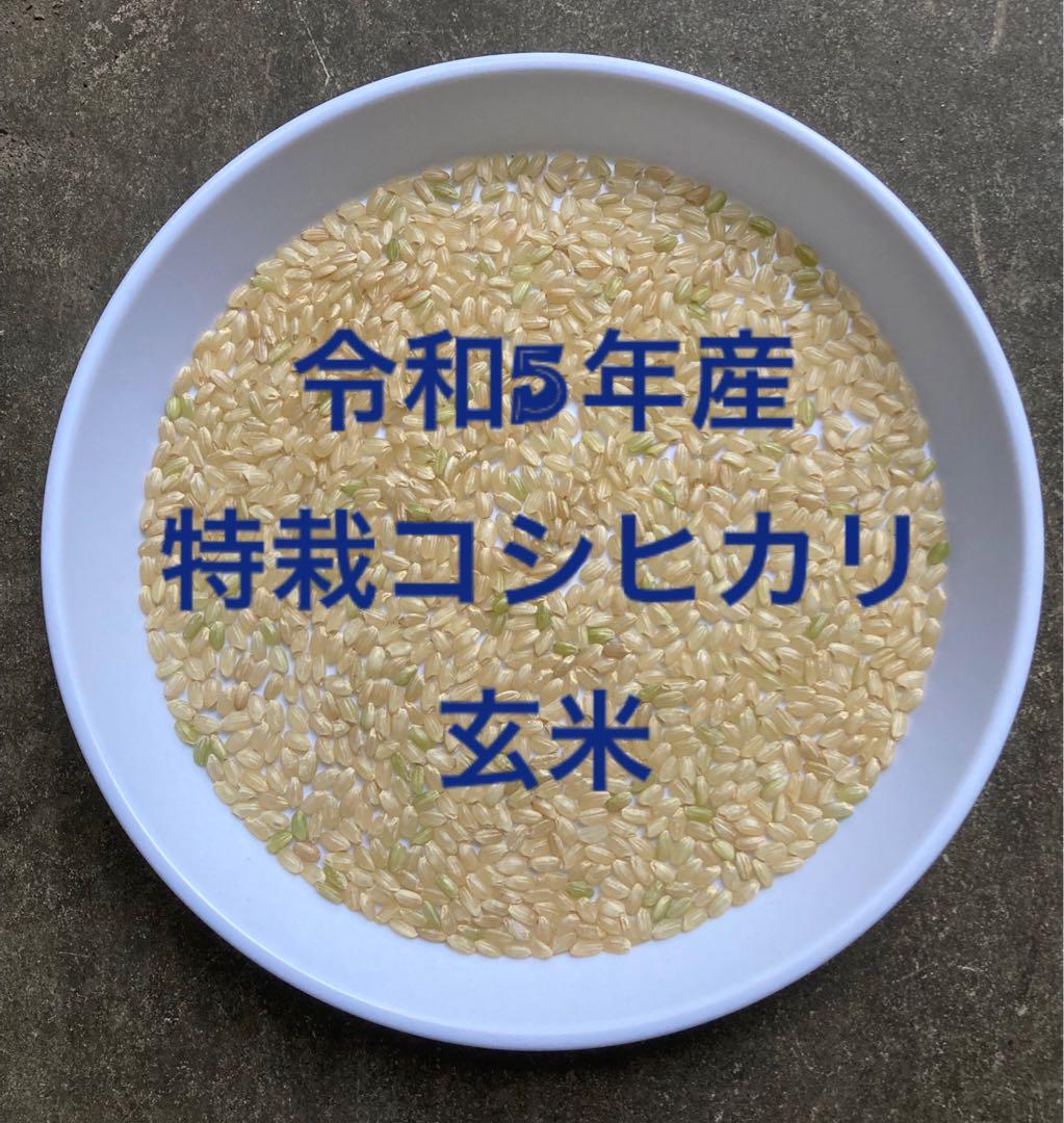 この花　標準精米 山本製作所 無残粒形精米機MZ、UMZシリーズ - 中古精米機・色彩