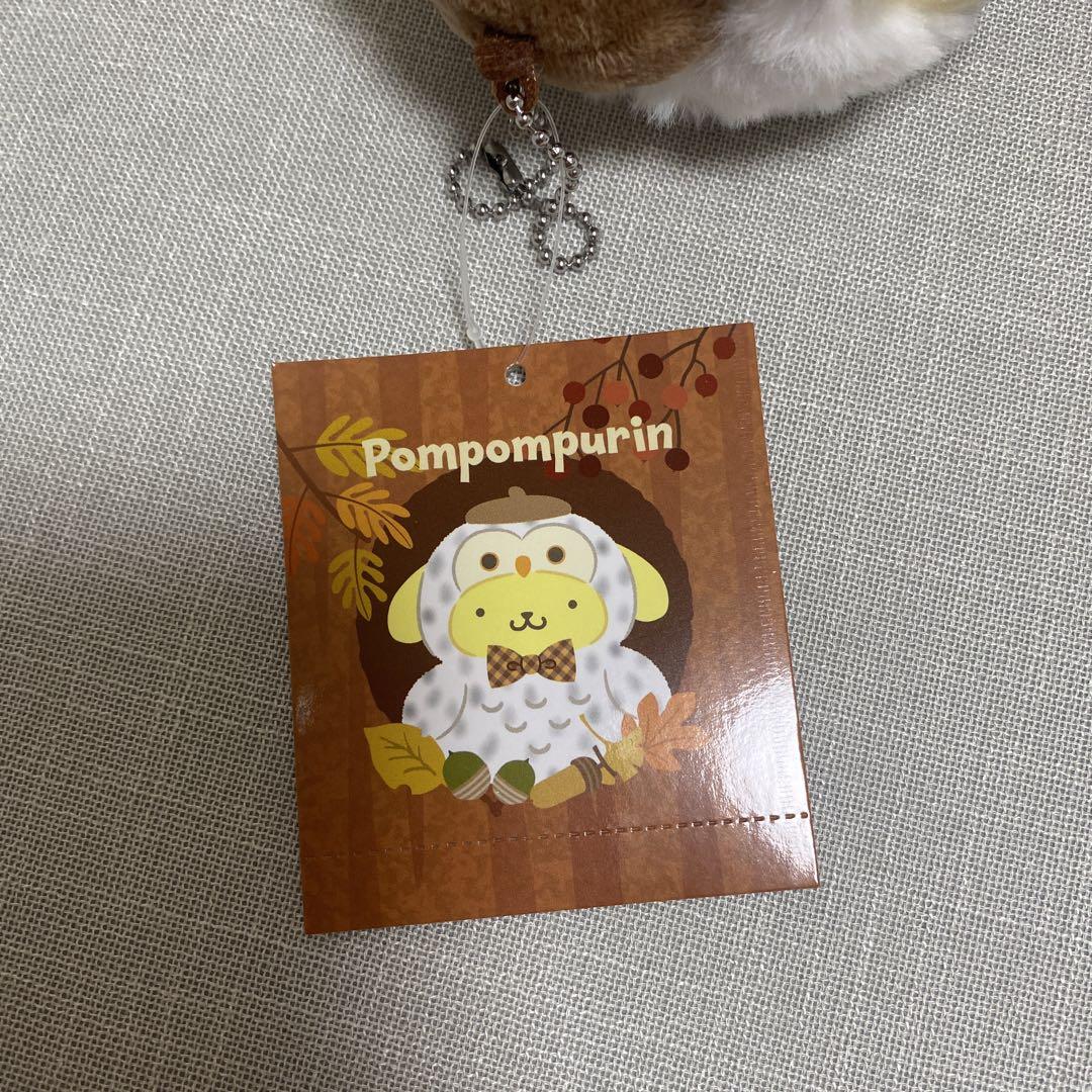 ポムポムプリン フクロウ　着ぐるみぬいぐるみ　マスコット imgrc0138428316.jpg