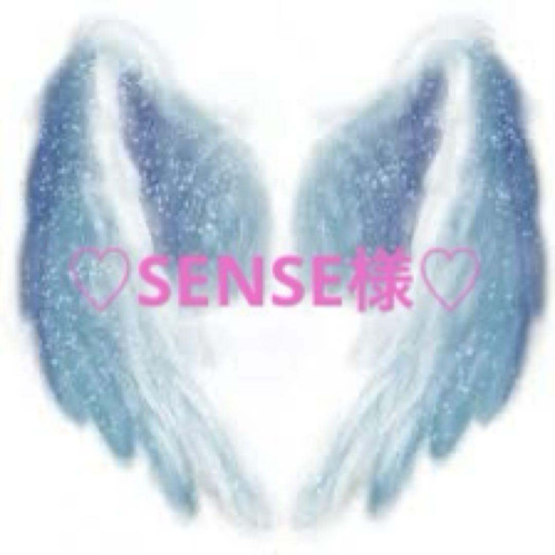 ⭐︎SENSE⭐︎様 リクエスト 3点 まとめ商品
