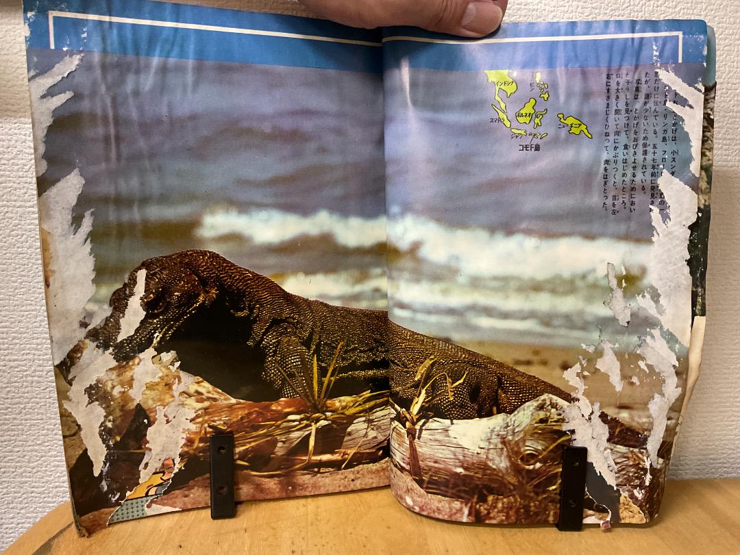 週刊少年マガジン 1969年(昭和44年) 35号 - メルカリ