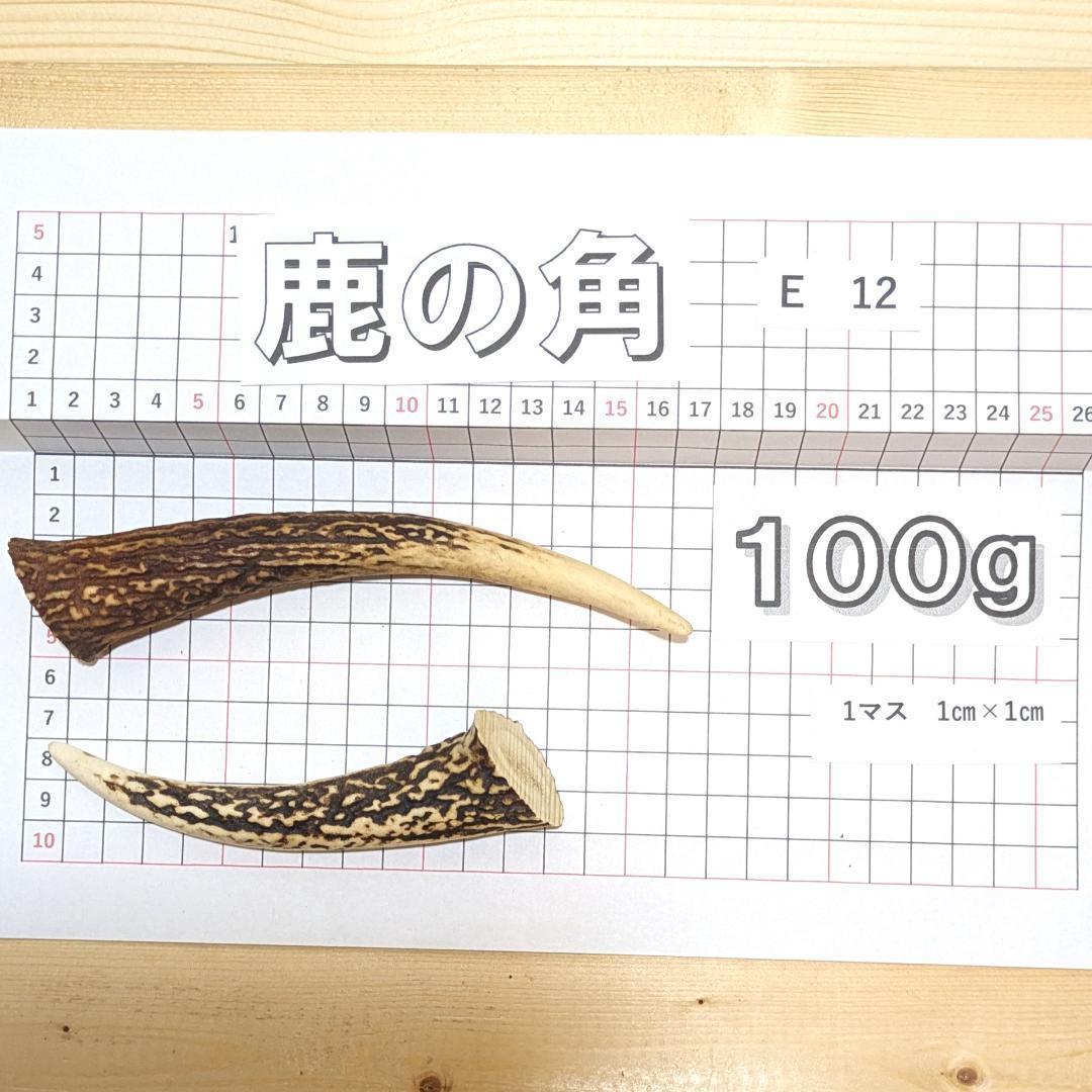 鹿の角　12本まとめ売り 鹿の角 12本まとめ売り