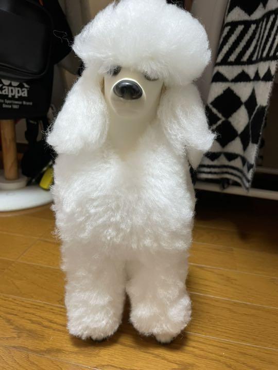 全国無料得価 犬のカット用ウィッグ JM7zl-m17397581343 低価爆買い