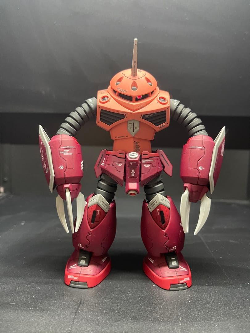 HG 1/144 ズゴック(SEED FREEDOM Ver.)