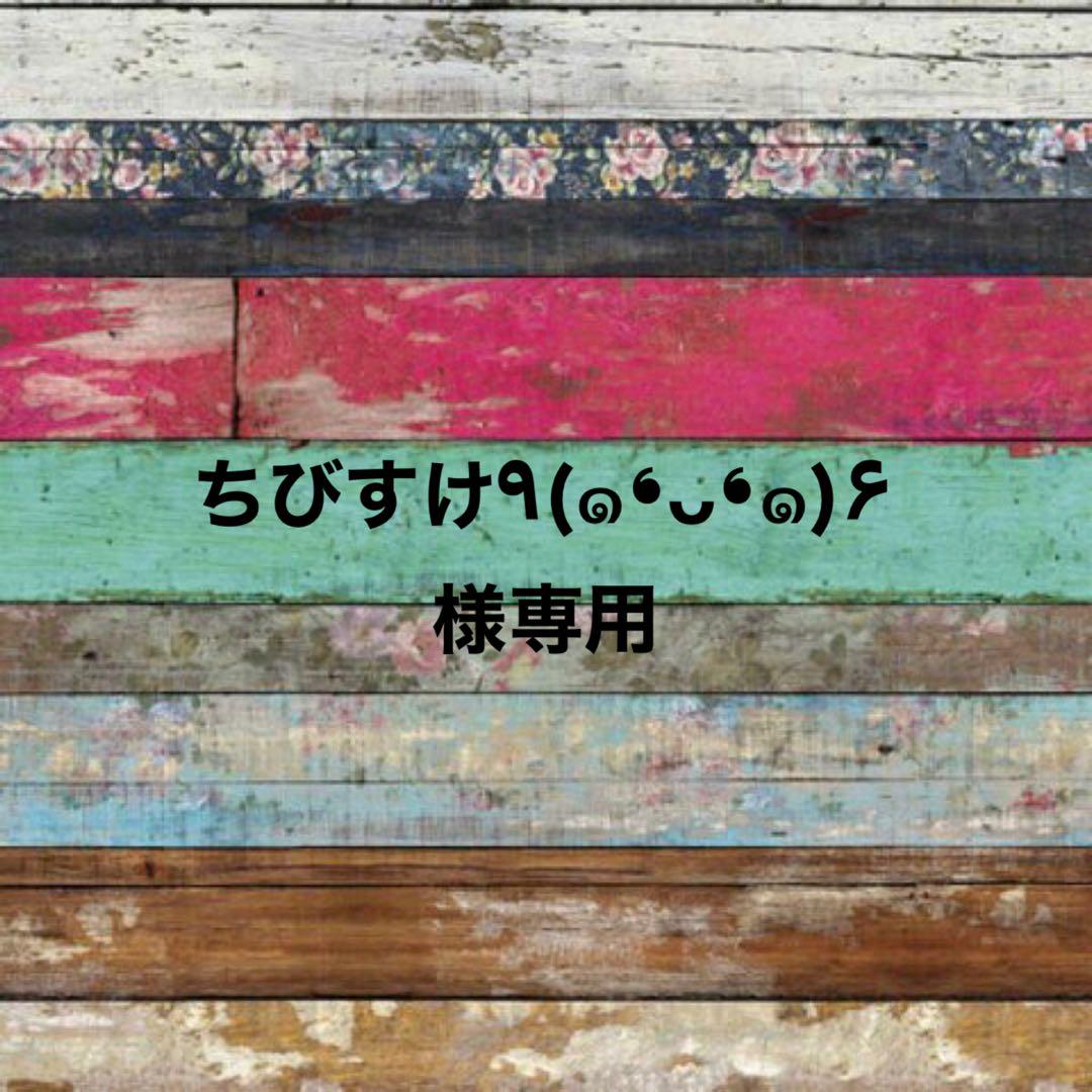 ちびすけ‪‪‪٩(๑❛ᴗ❛๑)۶様専用