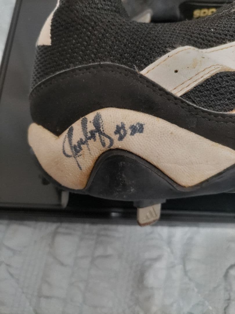 ホアン・ゴンザレス(Juan Gonzalez)　サイン入り　スパイク ホアン・ゴンザレス(Juan Gonzalez) サイン入り スパイク - メルカリ