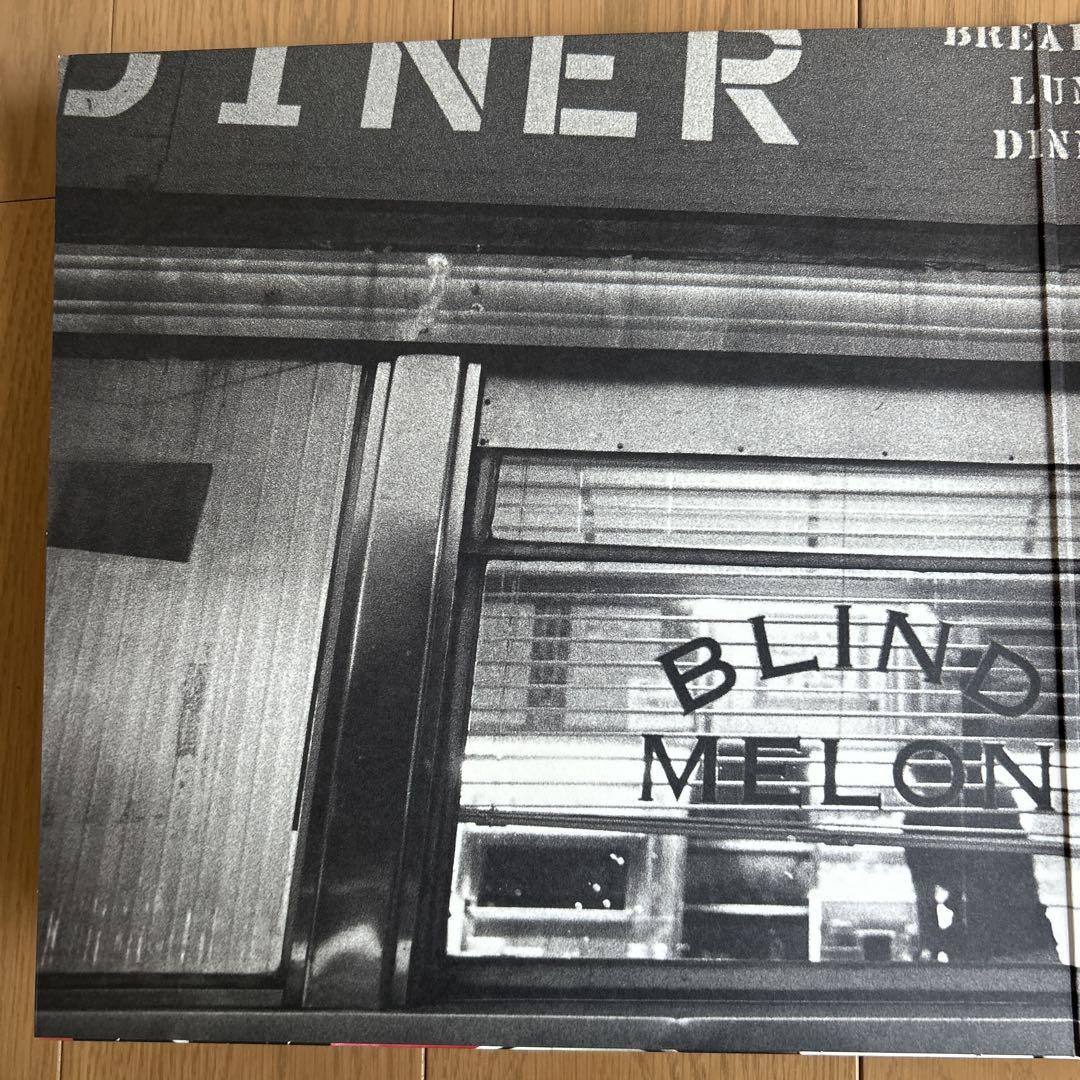 T*M様 Blind Melon Soup 12インチLPレコード １枚 輸入版