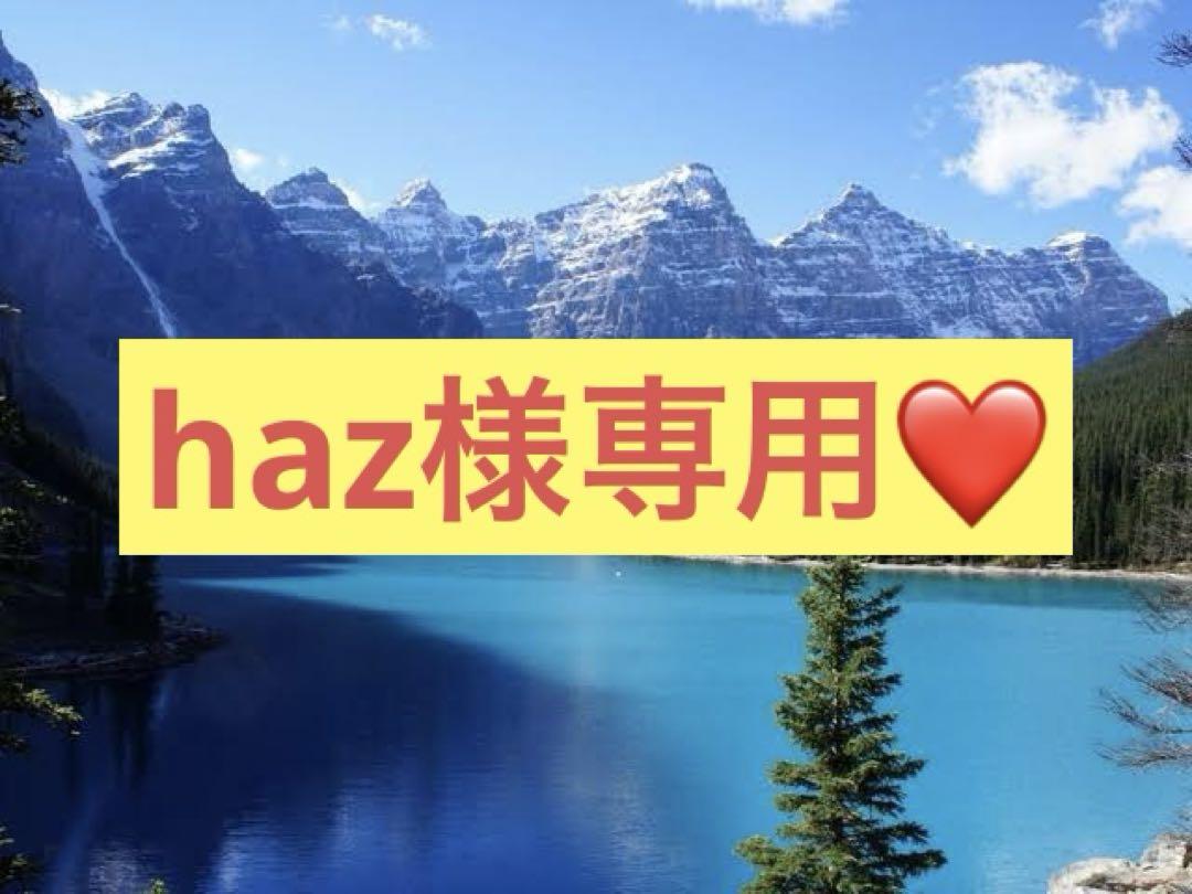 haz様専用♡