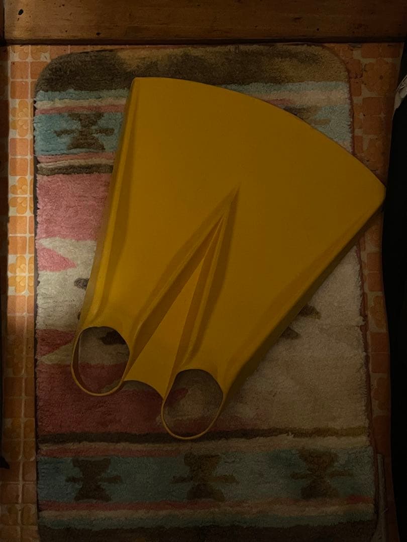 フリーダイビング FINIS練習用フォイルモノフィン