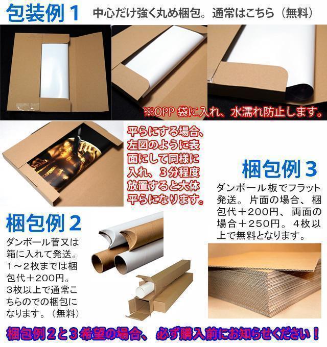 もじゃ バッキー A3 ポスター Cとシールド極秘資料ファイル
