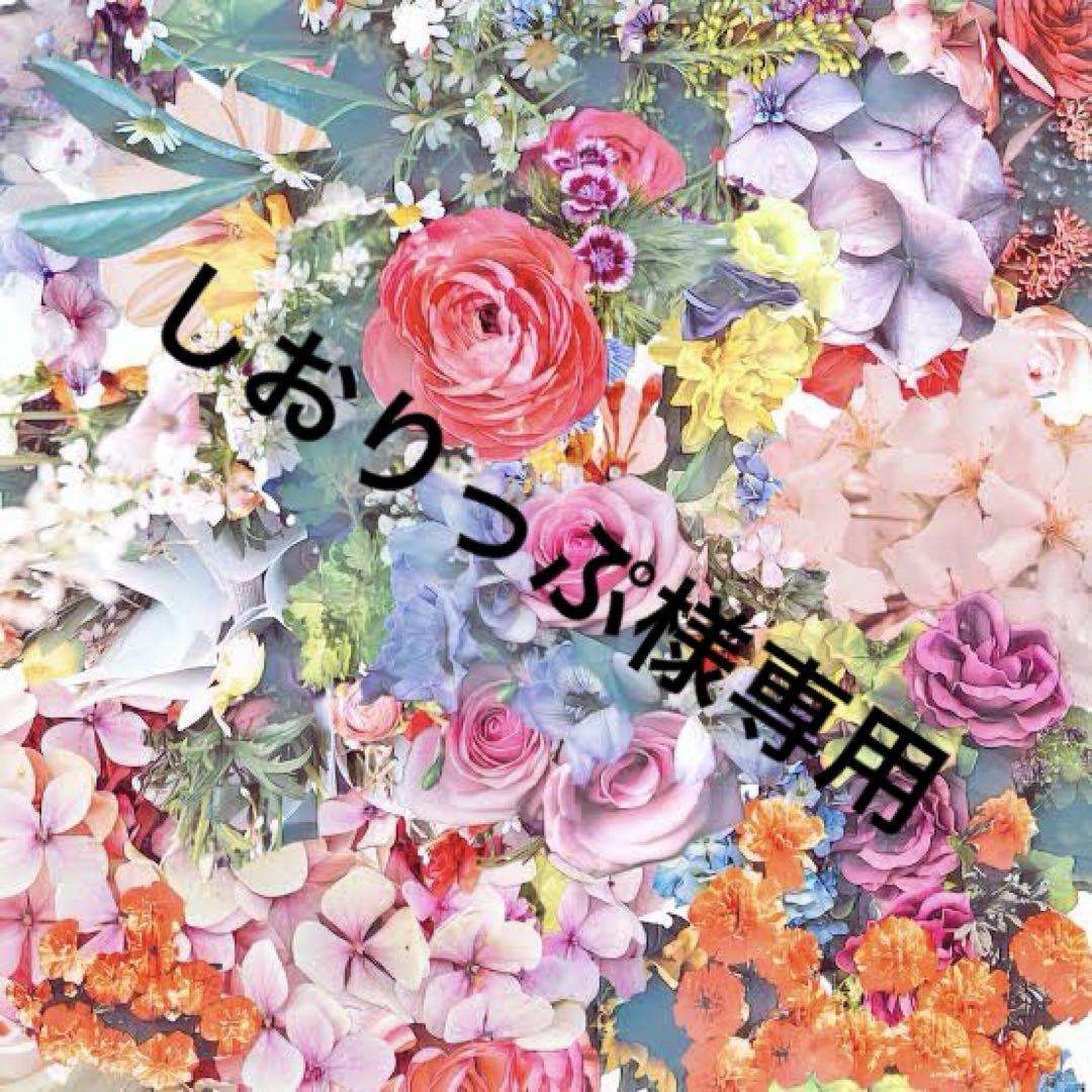 しおりっぷ