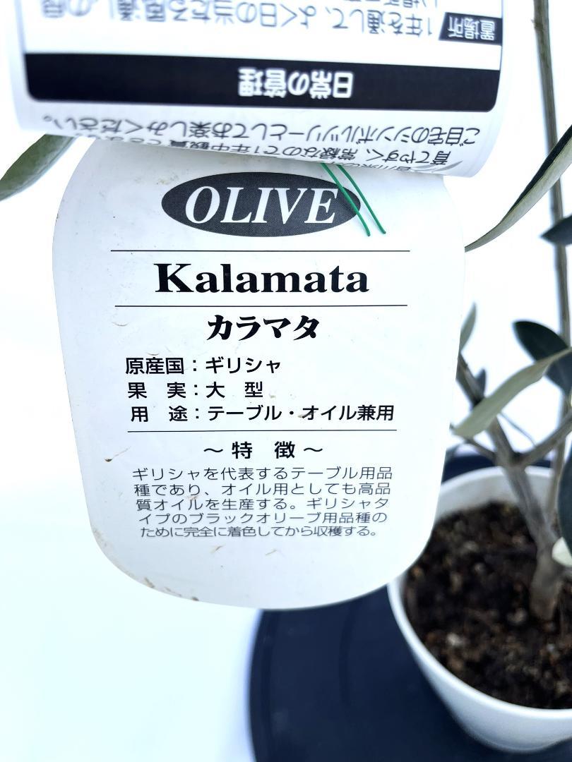 品種