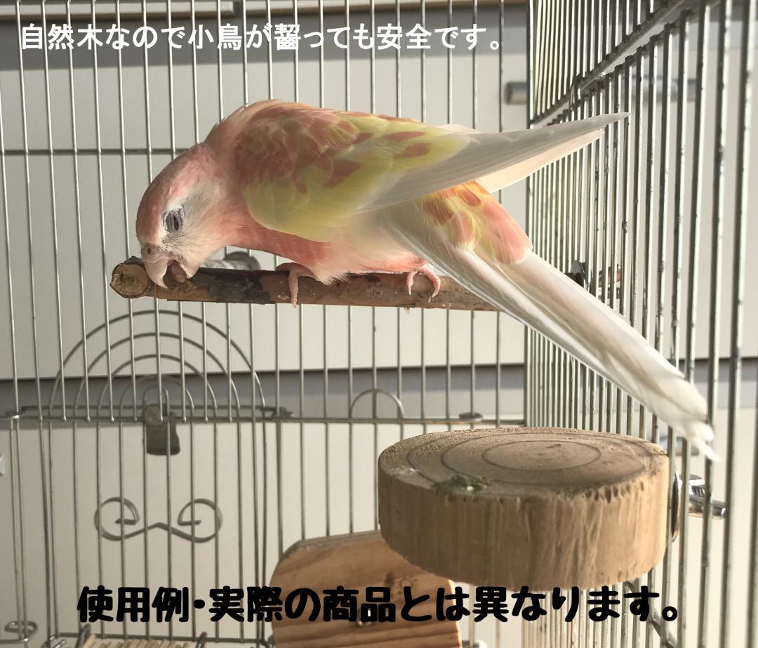 フルーツ止まり木 りんご・桃・栗+四角形・円形止まり木 2セット フルーツ止まり木 りんご・梨・栗・桃+四角形・円形止まり木