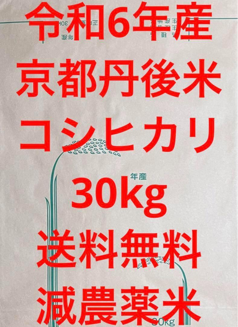 新米 玄米 30kg 令和6年産 京都 丹後 コシヒカリ 送料無料 減農薬米