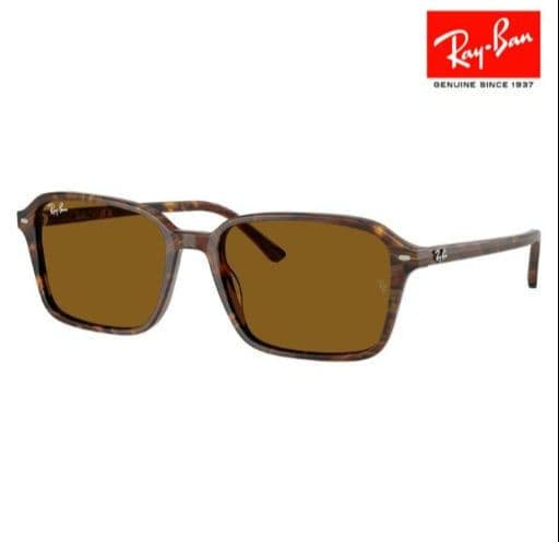 «新品» レイバン RAYBAN サングラス RB2231F