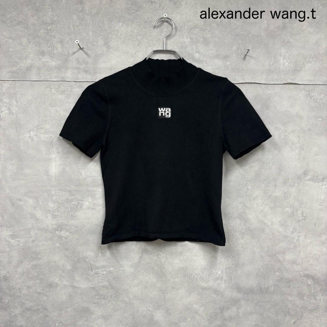 Alexander Wang モックネック ミニ ピチT Y2K N1042