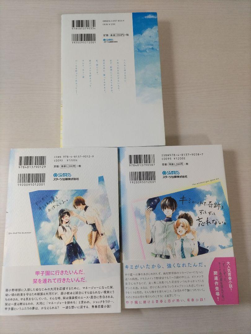 3巻セット】恋愛小説 - メルカリ