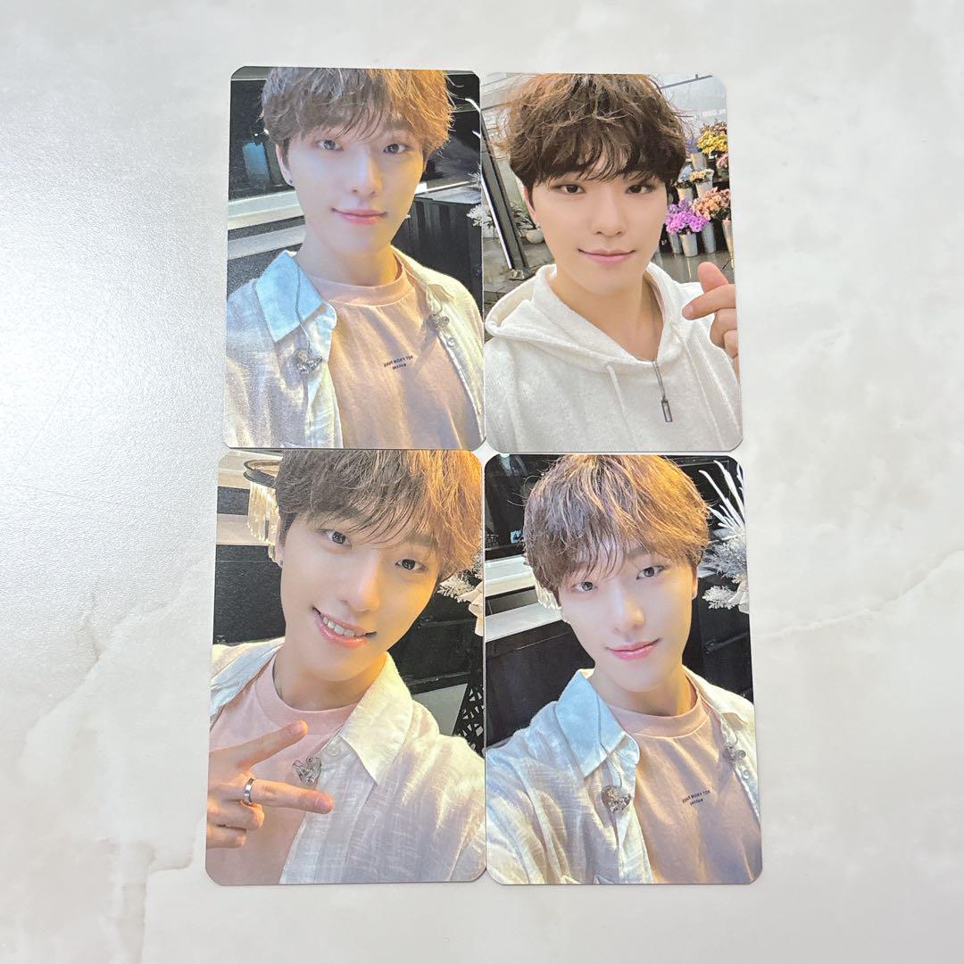 SEVENTEEN セブチ ディノ sector17 ラキドロ トレカ セット
